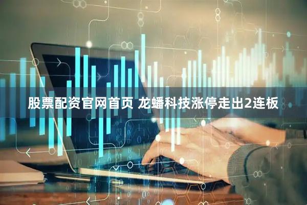 股票配资官网首页 龙蟠科技涨停走出2连板