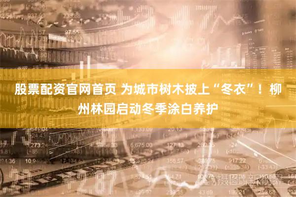 股票配资官网首页 为城市树木披上“冬衣”！柳州林园启动冬季涂白养护