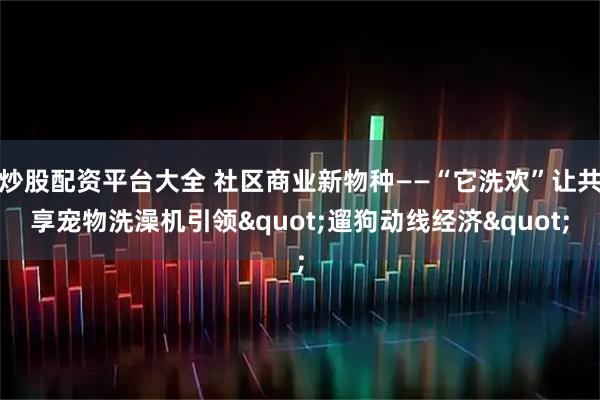 炒股配资平台大全 社区商业新物种——“它洗欢”让共享宠物洗澡机引领"遛狗动线经济"