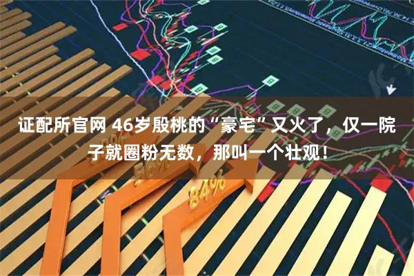 证配所官网 46岁殷桃的“豪宅”又火了，仅一院子就圈粉无数，那叫一个壮观！