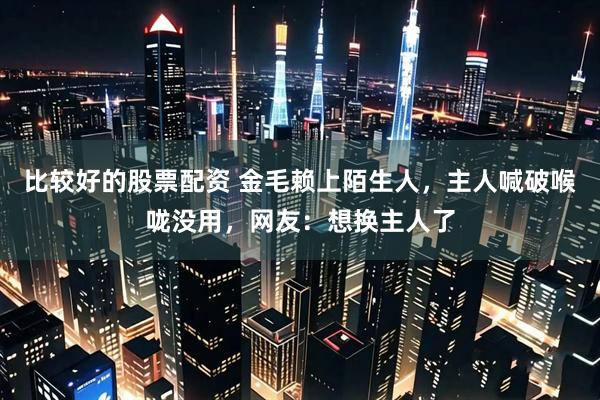 比较好的股票配资 金毛赖上陌生人，主人喊破喉咙没用，网友：想换主人了