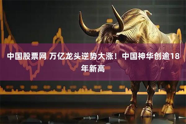 中国股票网 万亿龙头逆势大涨!中国神华创逾18年新高